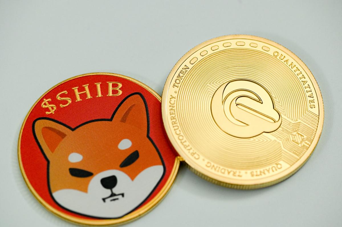 Shiba Inu Coin Logo and Chart